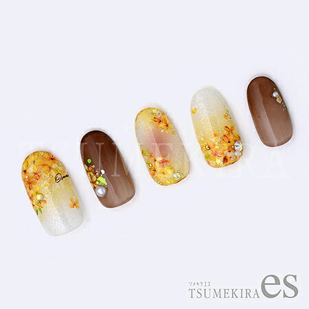 TSUMEKIRA ツメキラ es(エス) Fragrant Olive (金木犀) ES-KMS-001【ネイルアート ...