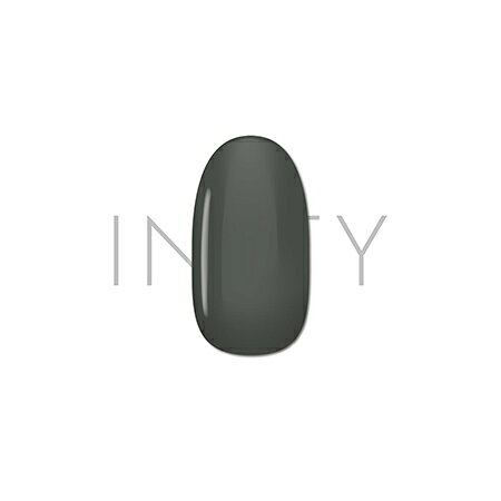INITY アイニティ ハイエンドカラー ベーシック BA-02S バンクシーグレー 3g【アイニティ　ハイエンドカラー　サロン　アート　発色　ジェル】