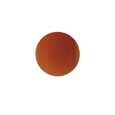 クリアパウダーからデビューした TOY'sのアクリルに 新しくカラーパウダーが登場 中間色満載な絶妙なくすみ10色 ポイント 1.カラーパウダーなのにモチっとしたテクスチャー 2.顔料の分離がしない 3.オシャレな絶妙くすみ中間色 熟した深みのある濃いめ橙色 7g