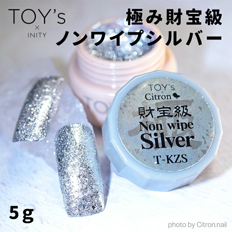 乐天商城 - TOY's × INITY トイズバイアイニティ 極み財宝級ノンワイプシルバー 5g T-KZS citron nail 田村寛美先生プロデュース 【ジェルネイル セルフネイル カラージェル キラキラ ラメ 銀 グリッター ゴージャス】