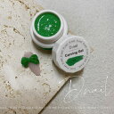 【数量限定特価】【当日発送可】【当日発送可】D.nail ディネイル 極カービングジェル 14 緑色 みどりいろ 5g【ネイルアート ジェルネイル 緑色 グリー...