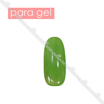 para gel パラジェル カラージェル 4g M010 リーフグリーン 【ネイル パーツ ジェルネイル】