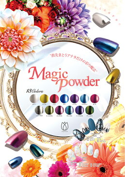 [メール便対応補償無]　PREGEL　プリジェル　マジックパウダー　ブルー　2g【ポイント10倍】【税込5,400円以上送料無料】【RCP】 【.】【ネイル　パーツ　ジェルネイル】