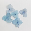 SHAREYDVA シャレドワ ドライフラワー アジサイ ライトブルー 【ネイル ネイルアート ドライフラワー 紫陽花ネイル あじさい】