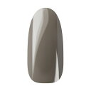 Ann Professional アンプロフェッショナル カラージェル 011 スモーキーライトベージュ 【ネイル ジェルネイル カラージェル】