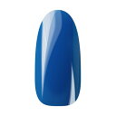 Ann Professional アンプロフェッショナル カラージェル 044 ブルー 【ネイル ジェルネイル カラージェル】