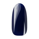 Ann Professional アンプロフェッショナル カラージェル 045 ネイビー 【ネイル ジェルネイル カラージェル】