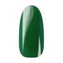 Ann Professional アンプロフェッショナル カラージェル 051 グリーン 【ネイル ジェルネイル カラージェル】
