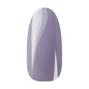 Ann Professional アンプロフェッショナル カラージェル 052 パステルパープル 【ネイル ジェルネイル カラージェル】
