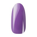 Ann Professional アンプロフェッショナル カラージェル 054 パープル 【ネイル ジェルネイル カラージェル】