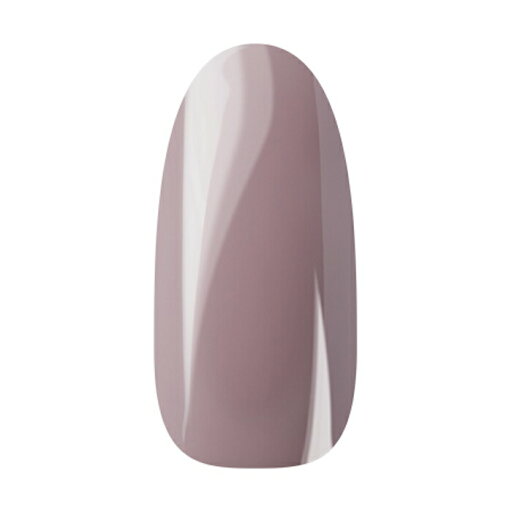 Ann Professional アンプロフェッショナル カラージェル 060 スモークピンクベージュ 【ネイル ジェルネイル カラージェル】 Ann Professional アンプロフェッショナル カラージェル 060 スモークピンクベージュ 【ネイル ジェルネイル カラージェル】