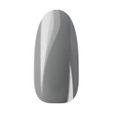 Ann Professional アンプロフェッショナル カラージェル 065 スモークライトグレー 【ネイル ジェルネイル カラージェル】