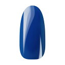 Ann Professional アンプロフェッショナル カラージェル 076 ネオンブルー 【ネイル ジェルネイル カラージェル】