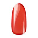 Ann Professional アンプロフェッショナル カラージェル 079 シロップレッド 【ネイル ジェルネイル カラージェル】