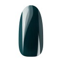 Ann Professional アンプロフェッショナル カラージェル 093 カーキ 【ネイル ジェルネイル カラージェル】