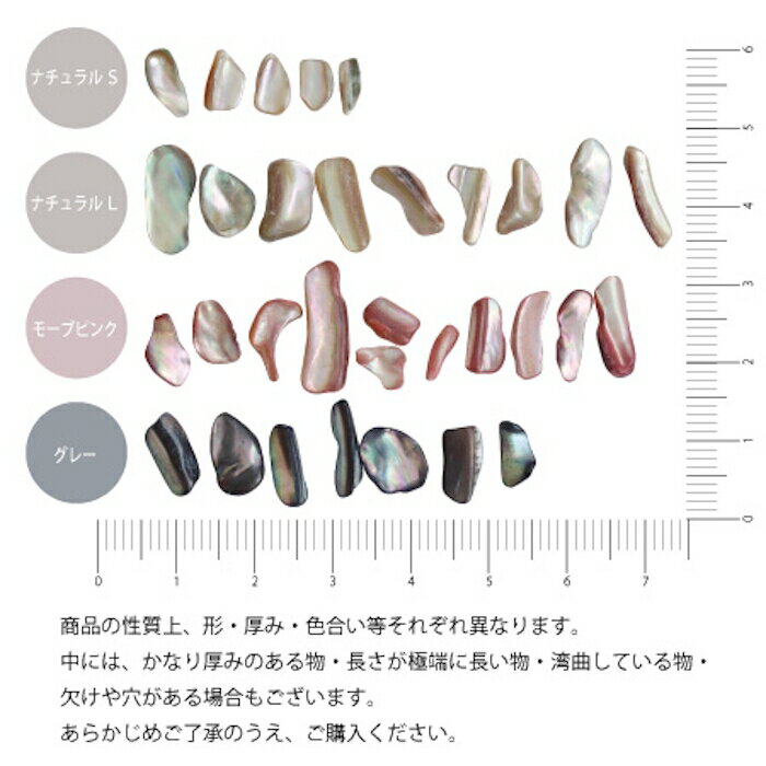 SHAREYDVA �����ɥ� ������������ ���졼�ڥͥ��� �ͥ���ѡ��� �������