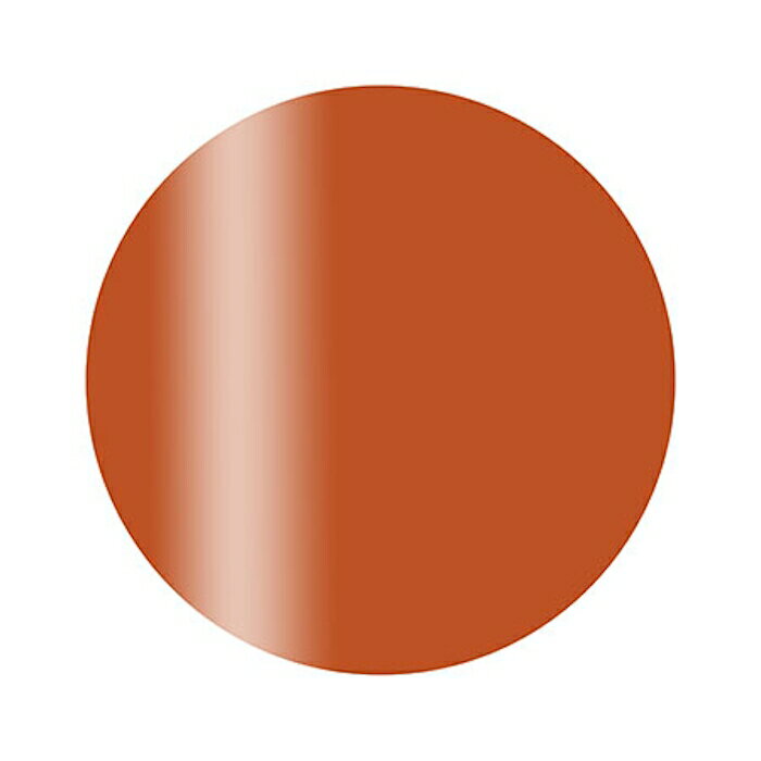 Calgel カルジェル カラージェル プラス S03BR シアーアンバー【ネイル ジェルネイル カラージェル】