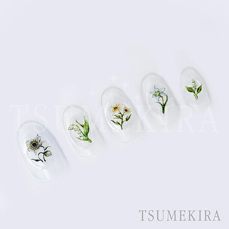 TSUMEKIRA ツメキラ DAISY プロデュース9 DAISY’S GARDEN WHITE NN-DAI-112 【ネイ...