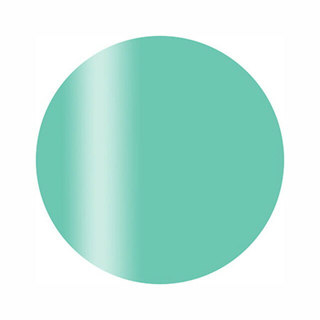 Calgel カルジェル カラージェル プラ