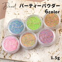 D.nail ディネイル パーティーパウダー 1.5g ブルーハワイ ライム カラースプレー ストロベリー トロピカル ホットピンクピンク【ネイル ジェルネイル セルフネイル カラフル ポップ 派手 個性】