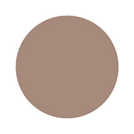 PREGEL プリジェル カラーEX ライナーオークル PG-CEL31 3g【ネイル カラージェル ベージュ】