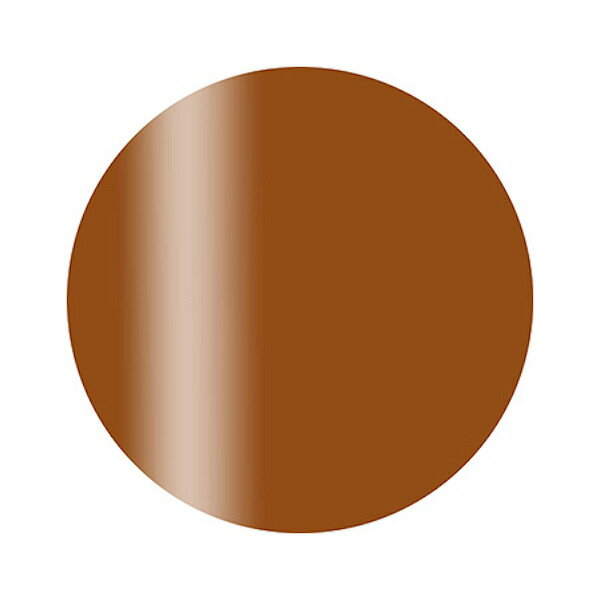 カルジェル カラージェル プラス CGS09BR モードアンバー 2.5g【ネイル ジェルネイル カラージェル ブラウン】