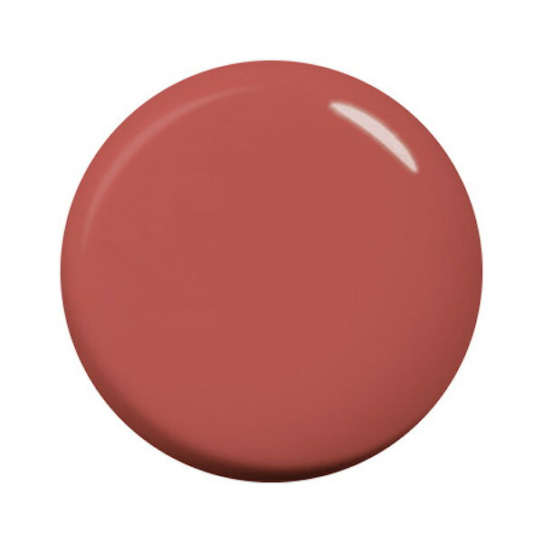 para gel パラジェル カラージェル S062 インカローズ 4g 【ネイル ジェルネイル カラージェル ピンク】