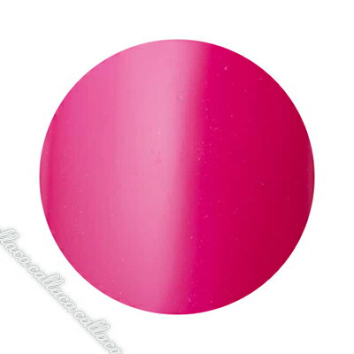 Dna Gel(ディーナジェル) カラージェル MPK04 ローズレッド 2.5g【ネイル ジェルネイル カラージェル】