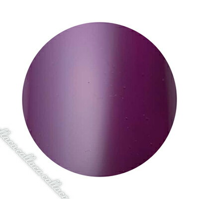 Dna Gel(ディーナジェル) カラージェル MPP07 プラム 2.5g【ネイル ジェルネイル カラージェル】