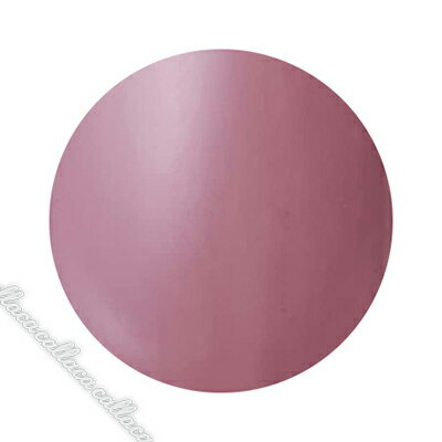 Dna Gel(ディーナジェル) カラージェル N06 ルノワール 2.5g【ネイル ジェルネイル カラージェル】