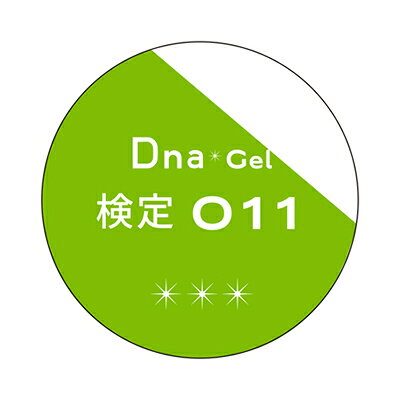 キャラカのDna Gel (ディーナジェル) カラージェル 検定 011 コバルトグリーン 2.5g【ネイル ジェルネイル カラージェル 検定】｜アングル3