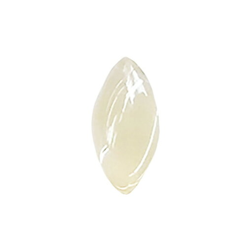 SONAIL ソネイル うるうるストーン リーフ ゴールデンシャドウ 5×10mm FY001417【ネイル ネイルパーツ リーフ】 SONAIL ソネイル うるうるストーン リーフ ゴールデンシャドウ 5×10mm FY001417【ネイル ネイルパーツ リーフ】