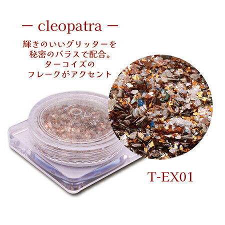 TOY's �� INITY �ȥ����Х������˥ƥ� ���������å����쥯����� ���쥪�ѥȥ� EX-01 2g�ڥۥ��ͥ��롡������ͥ��롡�ߥå�������å���������å������ͥ��륢���ȡ�