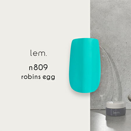 lem．（レム） カラージェル n809 ロビンスエッグ 3g