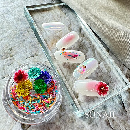 SONAIL ソネイル ドライフラワーネイル カラフル ペタルアート FY001336　2g【ネイル ネイルアート ドライフラワー】 3