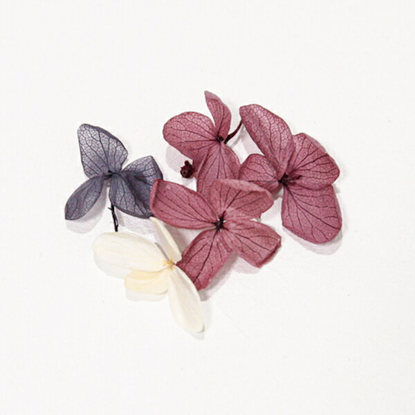 SHAREYDVA シャレドワス ドライフラワー アジサイmix　約5枚（赤紫3、青紫1、白1）【ネイル ネイルアー..