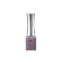 KOKOIST ココイスト リキッドミラー MR-09 Purple Chrome (パープルクローム) 5mL【ネイル リキッド ミラーネイル　インク　オーロラネイル】