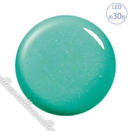Rakuten - para gel パラジェル カラージェル P021 シエルグリーン 4g 【ネイル ジェルネイル】