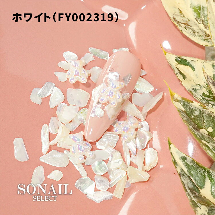 キャラカのSONAIL ソネイル シャイニーテディ・シェルMIX 2g ホワイト ブルー ピンク FY002319 FY002320 FY002321【ソーネイル ネイル ジェルネイル ホロ テディベア クマ ベア シェル 貝 パーツ ネイルパーツ 背面カーブなし】｜アングル2