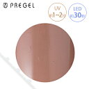 PREGEL vWF J[EX X[L[x[WR PG-CE880 3g ylC J[ WFlC A[gz