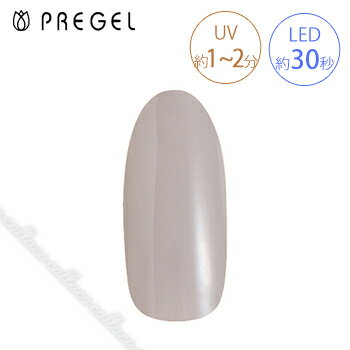 PREGEL プリジェル カラーEX ペールグレイ PG-CE885 3g 【ネイル カラー ジェルネイル アート】