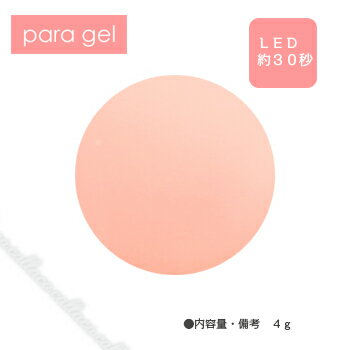 para gel パラジェル リップカラージェル L02 エクルベージュ 4g 【ネイル パーツ ジェルネイル】