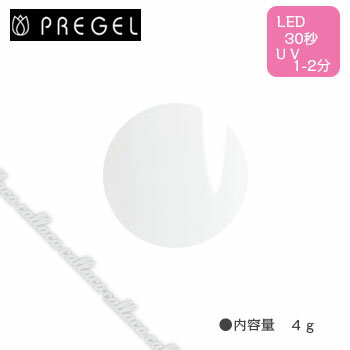 PREGEL プリジェル カラーEX 白 PG-CE110 4g 【ネイル パーツ ジェルネイル】