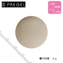 PREGEL プリジェル プリジェル カラーEX ホワイトモカポルカ PG-CE234 4g 