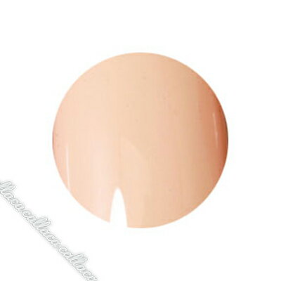 PREGEL プリジェル カラーEX ライトベージュ PG-CE282 4g 【ネイル カラー ジェルネイル アート】