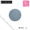 PREGEL プリジェル カラーEx グレイッシュミスト PG-CE306 4g 【ネイル パーツ ジェルネイル】