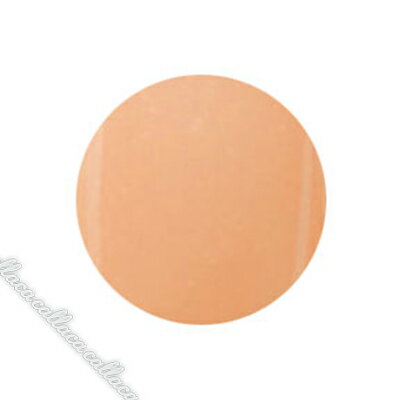 PREGEL �ץꥸ���� ���顼EX �ѡ���١����� PG-CE503 4g �ڥͥ��� ���顼 ������ͥ��� �����ȡ�