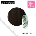 PREGEL プリジェル カラーEx ライナービターチョコ PG-CEL10 4g 