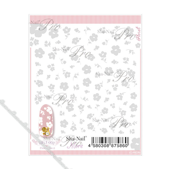 �̥ͥ���More �ե�����å�(��) �ڥͥ��� �ѡ��� ������ͥ����