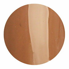 PREGEL プリジェル カラーEX セブンティーズシリーズ セブンティーズキャメル PG-CE844 3g 【ネイル パ..